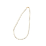 パールショートネックレス | ROPE' PICNIC | 詳細画像4 