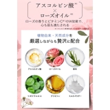 シャワーフィルター 2025新発売 ビタミンC | La Bella | 詳細画像12
