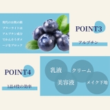 トーンアップクリーム ナイアシンアミド10%高濃度 クリーム 毛穴ケア | LEPOREM | 詳細画像8