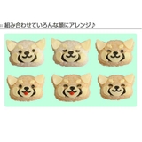 おにぎり押し型 レッサーパンダ おにぎり抜き型 | livingut | 詳細画像6 