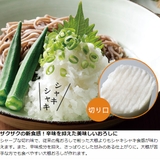 おろし金 新感食 サクッサクおろし | livingut | 詳細画像3