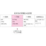 弁当箱 600ml 薄型弁当箱 | livingut | 詳細画像20 