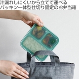 弁当箱 薄型弁当箱 抗菌フードマン500 | livingut | 詳細画像2