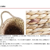バスケット ロープハンドル ウォーターヒヤシンス | livingut | 詳細画像5 
