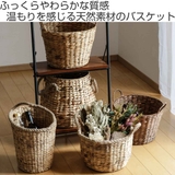 バスケット ロープハンドル ウォーターヒヤシンス | livingut | 詳細画像2