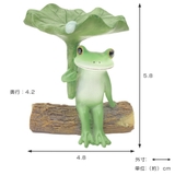 コポー ハスの葉で雨宿りするカエル カエル | livingut | 詳細画像2