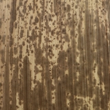 竹皮 天然竹皮 おにぎり | livingut | 詳細画像6