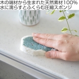 キッチンスポンジ e ポップアップスポンジ | livingut | 詳細画像2