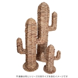 オブジェ サボテン Sサイズ | livingut | 詳細画像9