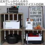収納ボックス A4 サイズ | livingut | 詳細画像2