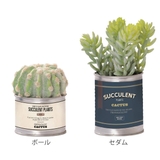 フェイクグリーン TINサキュレント 光触媒 | livingut | 詳細画像2