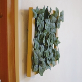 人工観葉植物 壁面 フレーム付 | livingut | 詳細画像5