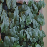 人工観葉植物 壁面 フレーム付 | livingut | 詳細画像8