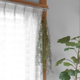 フェイクグリーン エクリア消臭アーティフィシャルグリーン ハンギング | livingut | 詳細画像11 