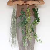 フェイクグリーン エクリア消臭アーティフィシャルグリーン ハンギング | livingut | 詳細画像13 