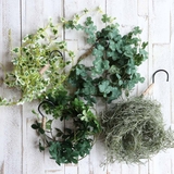 フェイクグリーン エクリア消臭アーティフィシャルグリーン ハンギング | livingut | 詳細画像15 