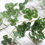 フェイクグリーン エクリア消臭アーティフィシャルグリーン ハンギング | livingut | 詳細画像17 