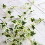 フェイクグリーン エクリア消臭アーティフィシャルグリーン ハンギング | livingut | 詳細画像18 