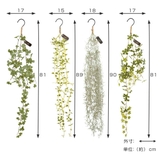 フェイクグリーン エクリア消臭アーティフィシャルグリーン ハンギング | livingut | 詳細画像4 