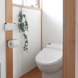 フェイクグリーン エクリア消臭アーティフィシャルグリーン ハンギング | livingut | 詳細画像8 