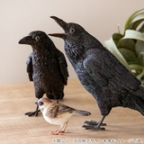 オブジェ BIRDIE BILL | livingut | 詳細画像5