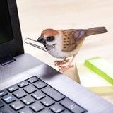オブジェ BIRDIE BILL | livingut | 詳細画像6