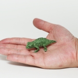 オブジェ REPTILES MAG | livingut | 詳細画像7
