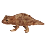 オブジェ REPTILES MAG | livingut | 詳細画像9