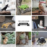 オブジェ ウサギ ペットバンク | livingut | 詳細画像5