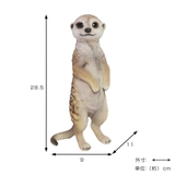 オブジェ ミーアキャット ペットバンク | livingut | 詳細画像3