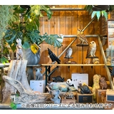 オブジェ カワウソ ペットバンク | livingut | 詳細画像7 