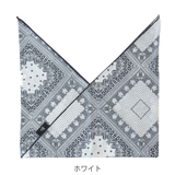 &NE 弁当袋 ペイズリー | livingut | 詳細画像5