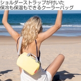 クーラーバック ライゼンタール COOLERBAG | livingut | 詳細画像2 