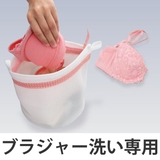 洗濯ネット ブラジャー洗い専用ネット キャッチフック付 | livingut | 詳細画像1