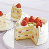 ケーキスライサー 丸型 15cm | livingut | 詳細画像4 