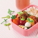 ピック はっぱのピック2 8本入り | livingut | 詳細画像1 