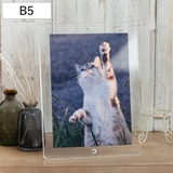 マグパチ フォトフレーム スタンダード | livingut | 詳細画像1