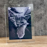 マグパチ フォトフレーム スタンダード | livingut | 詳細画像5