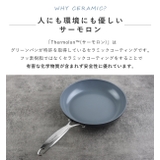 GREEN PAN フライパン | livingut | 詳細画像5