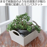 小物収納 ミニバスケット S | livingut | 詳細画像2
