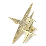 ブローチ レディース キラキラ | lunolumo | 詳細画像6 