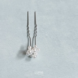 ≪1個入≫リッチパールコーム | LUPIS | 詳細画像4 