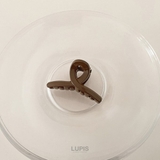 ループラインプチヘアクリップ  | LUPIS | 詳細画像3 
