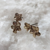 ピアス イヤリング K18GP | Melody Accessory | 詳細画像1