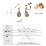 イヤリング ピアス 樹脂 | Melody Accessory | 詳細画像8