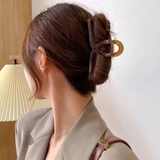 ブラウン | ヘアクリップ大きめアクリルバンスクリップ | Miniministore