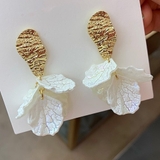 シェル ピアス 貝殻 | Miniministore | 詳細画像7