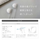 公式【ショップリスト限定】奇跡の歯ブラシ ポリゴンモダン 2本セット | 奇跡の歯ブラシ | 詳細画像5 