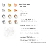 ピアス 金属アレルギー キャッチ 小さめ ニッケルフリー シンプル シルバー | Noelmarket | 詳細画像6