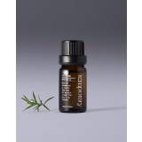 テンポラリー エッセンシャルアロマパフュームオイルティーツリー10ml 韓国コス… | OFF BEAUTY | 詳細画像1 